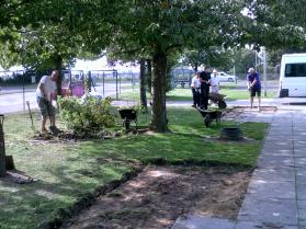 Digging out the shrubs